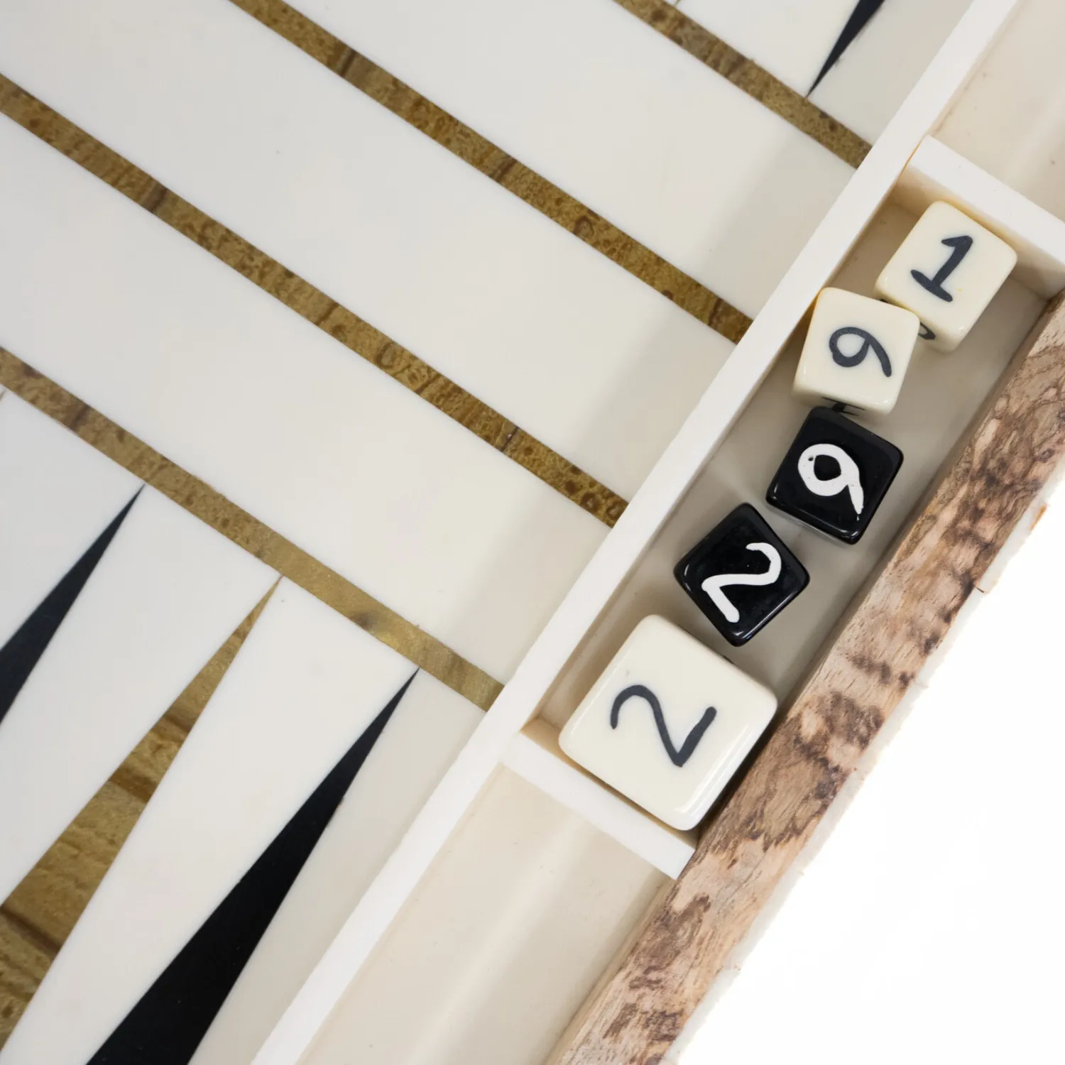 Backgammon Game Board Set