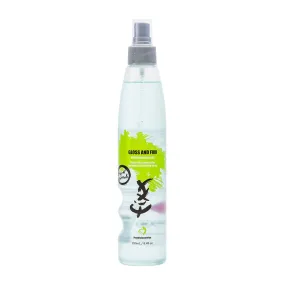 PPS Gloss & Fixx Finishing Spray 250ml